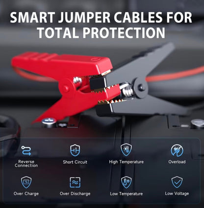DriveWise battery jumper kit